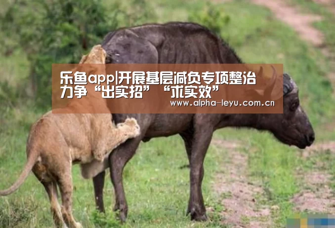 乐鱼app|开展基层减负专项整治 力争“出实招”“求实效”(图3) 乐鱼app