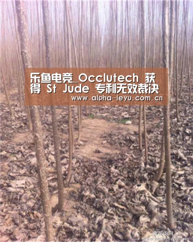 乐鱼电竞_Occlutech 获得 St Jude 专利无效裁决(图4) 乐鱼app