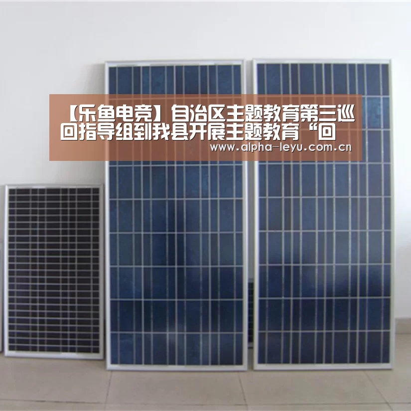 【乐鱼电竞】自治区主题教育第三巡回指导组到我县开展主题教育“回头看”调研督导工作(图1) 乐鱼官网