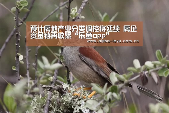 leyu中国官网