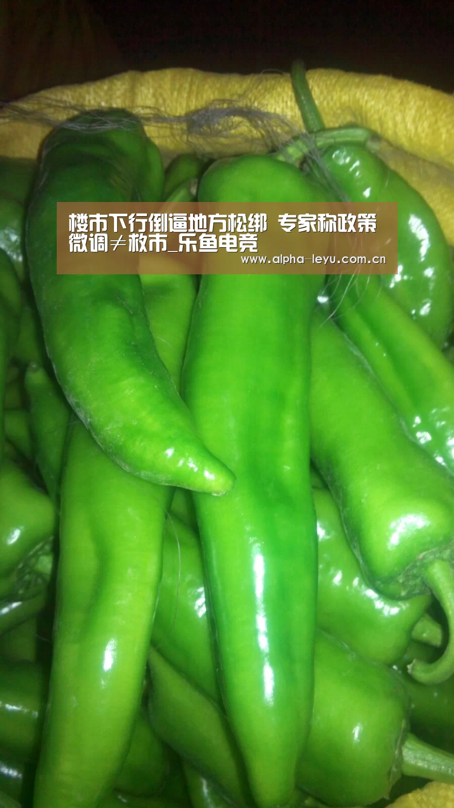楼市下行倒逼地方松绑 专家称政策微调≠救市_乐鱼电竞(图3) leyu中国官网